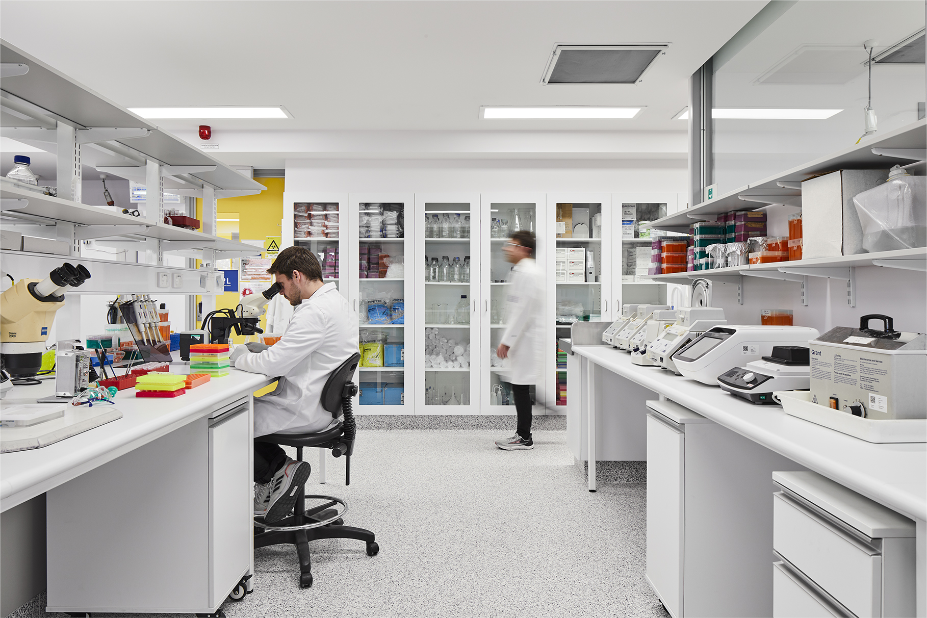 um211-uom_evolutionary_lab_homepage.jpg